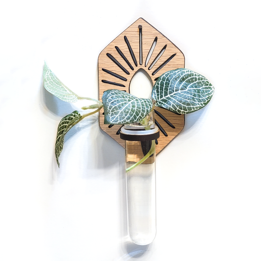 Propagation Station | Sun