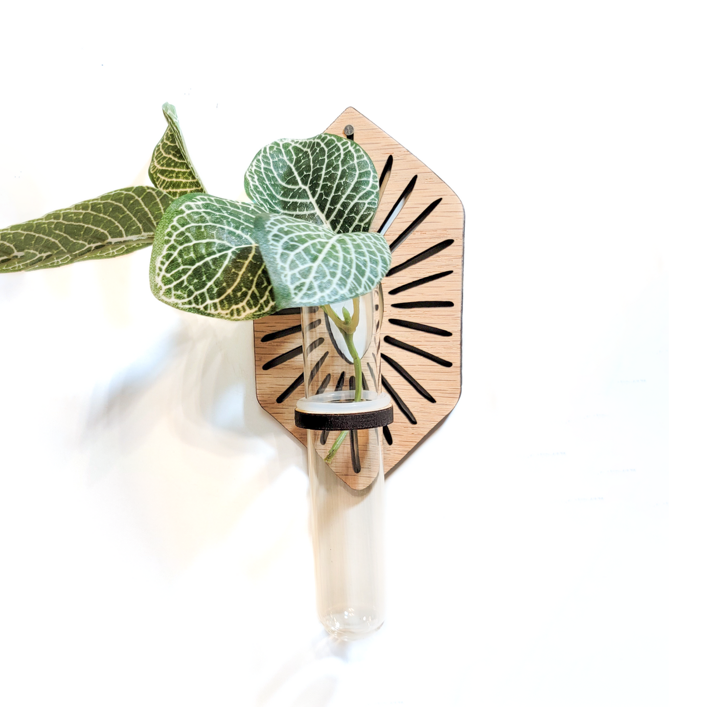 Propagation Station | Sun