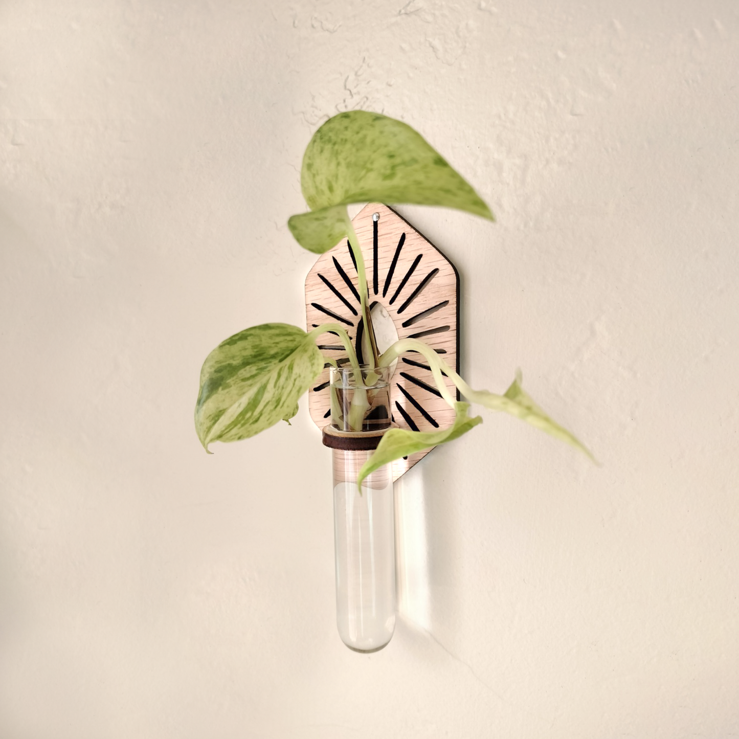 Propagation Station | Sun