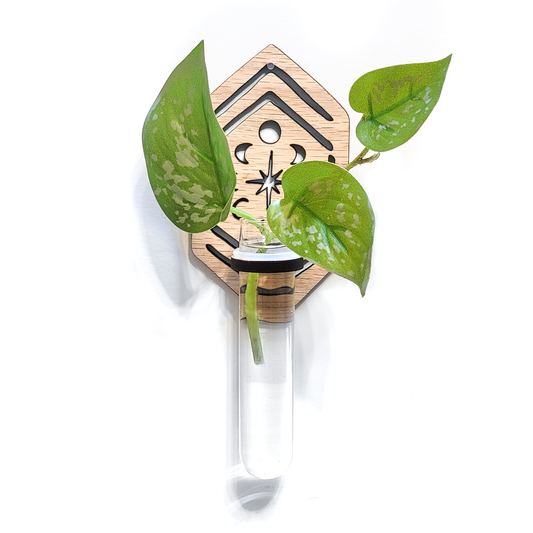 Propagation Station | Moon