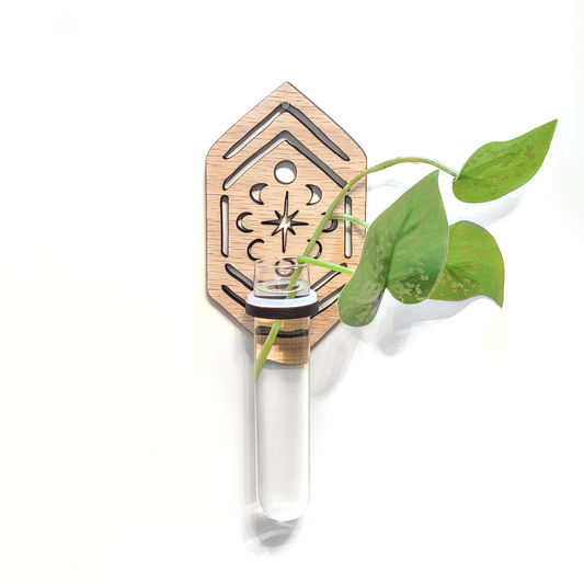 Propagation Station | Moon